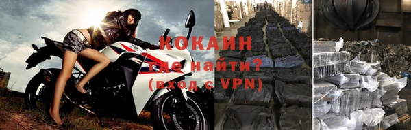 прущие крисы Белокуриха